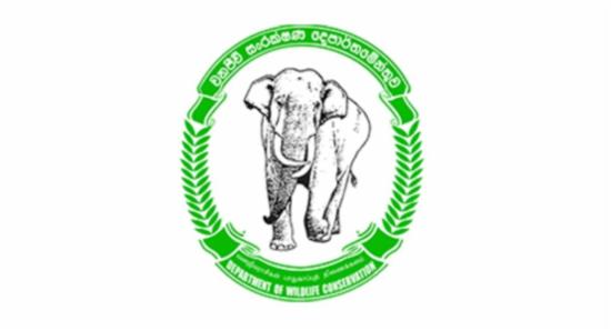 Wildlife Dept to Act Against Substandard Elephant